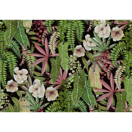 K'moor / Balance poszter