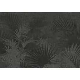 K'moor / Balance poszter