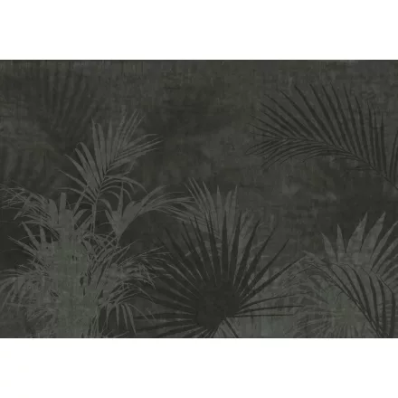 K'moor / Balance poszter