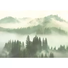 K'moor / Balance poszter