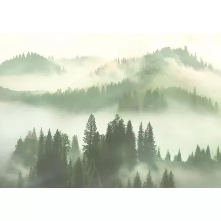 K'moor / Balance poszter