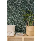 Caselio / Balade tapéta