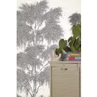 Caselio / Balade tapéta