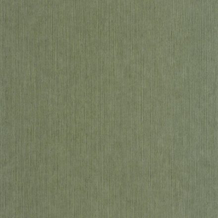 Caselio / Borneo tapéta