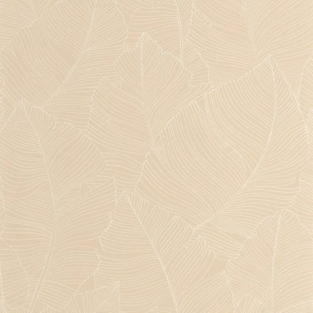 Caselio / Borneo tapéta