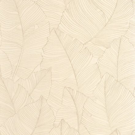 Caselio / Borneo tapéta