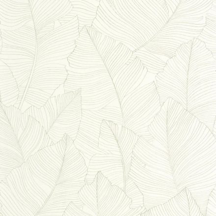 Caselio / Borneo tapéta