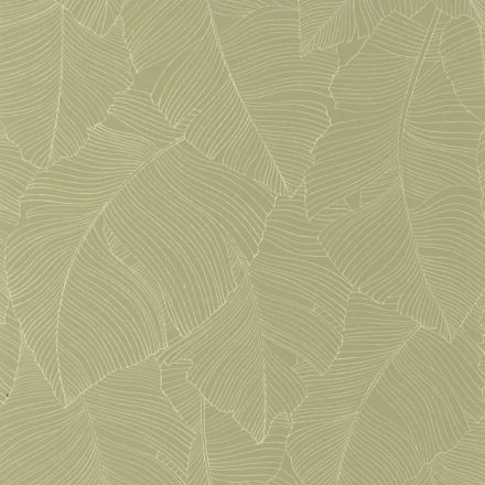 Caselio / Borneo tapéta