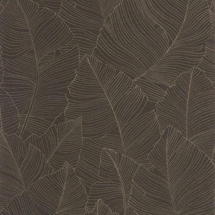 Caselio / Borneo tapéta