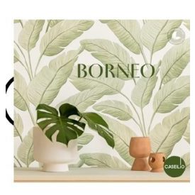 Caselio / Borneo tapétakönyv