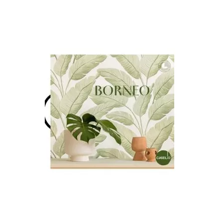 Caselio / Borneo kis tapétakönyv