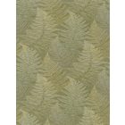 Casadeco / California tapéta