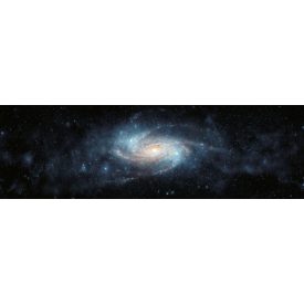 Rimura/ Kids Collection