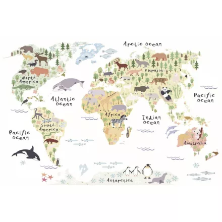 Rimura/ Kids Collection