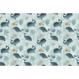 Rimura/ Kids Collection