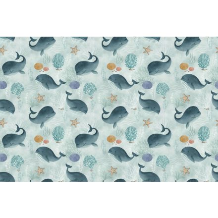 Rimura/ Kids Collection