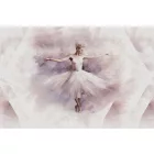 Rimura/ Kids Collection