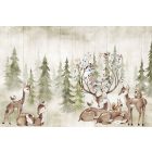 Rimura/ Kids Collection