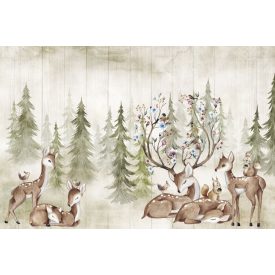 Rimura/ Kids Collection