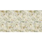 Rimura/ Kids Collection