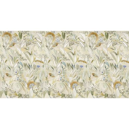 Rimura/ Kids Collection