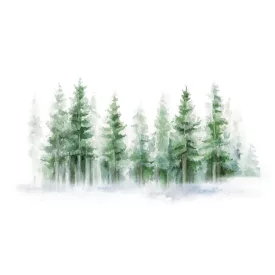 Rimura/ Kids Collection