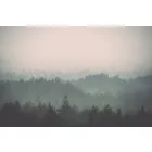 Rimura/ Kids Collection