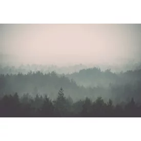 Rimura/ Kids Collection