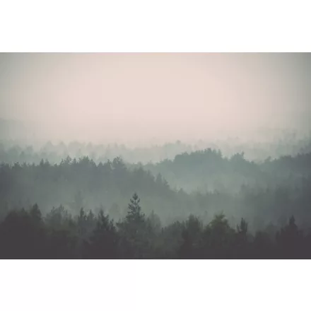 Rimura/ Kids Collection