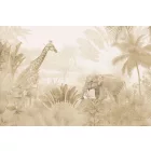 Rimura/ Kids Collection