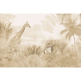 Rimura/ Kids Collection