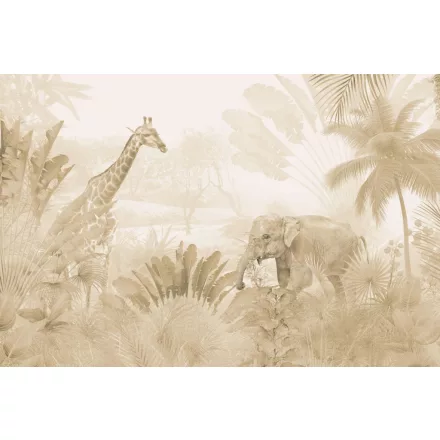 Rimura/ Kids Collection