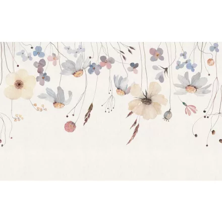 Rimura/ Kids Collection