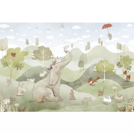 Rimura/ Kids Collection