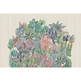 Rimura/ Kids Collection