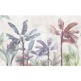 Rimura/ Kids Collection