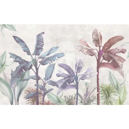 Rimura/ Kids Collection