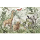 Rimura/ Kids Collection