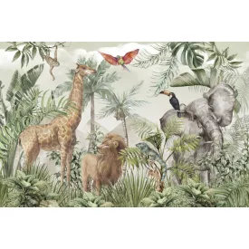 Rimura/ Kids Collection