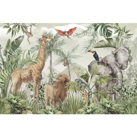 Rimura/ Kids Collection