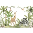 Rimura/ Kids Collection