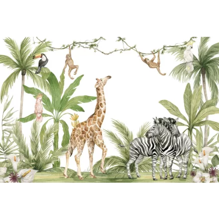 Rimura/ Kids Collection