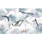 Rimura/ Kids Collection