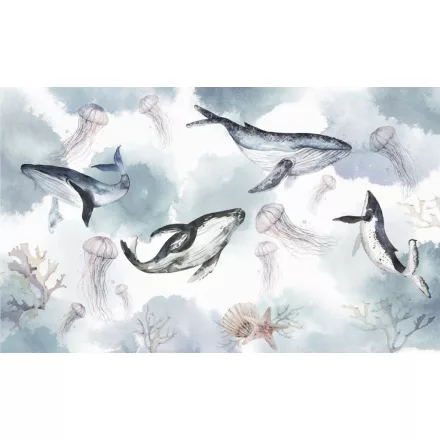 Rimura/ Kids Collection