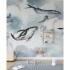 Rimura/ Kids Collection