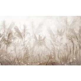 Rimura/ Kids Collection