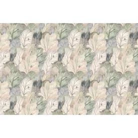 Rimura/ Kids Collection