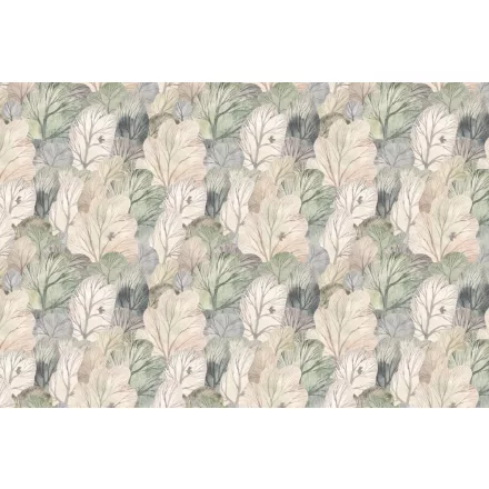 Rimura/ Kids Collection