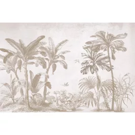 Rimura/ Kids Collection