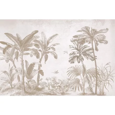 Rimura/ Kids Collection